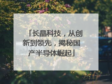 长晶科技，从创新到领先，揭秘国产半导体崛起