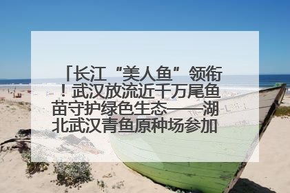 长江“美人鱼”领衔！武汉放流近千万尾鱼苗守护绿色生态——湖北武汉青鱼原种场参加2025年“全国放鱼日”增殖放流活动