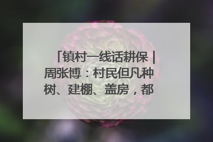 镇村一线话耕保｜周张博：村民但凡种树、建棚、盖房，都要向街道报批