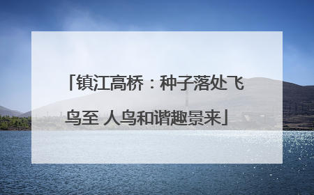 镇江高桥：种子落处飞鸟至 人鸟和谐趣景来