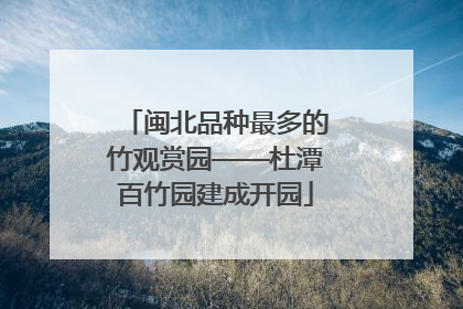 闽北品种最多的竹观赏园——杜潭百竹园建成开园