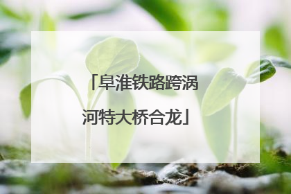 阜淮铁路跨涡河特大桥合龙