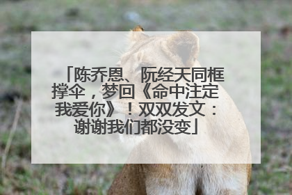 陈乔恩、阮经天同框撑伞，梦回《命中注定我爱你》！双双发文：谢谢我们都没变