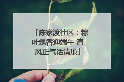 陈家渡社区：粽叶飘香迎端午 清风正气话清廉