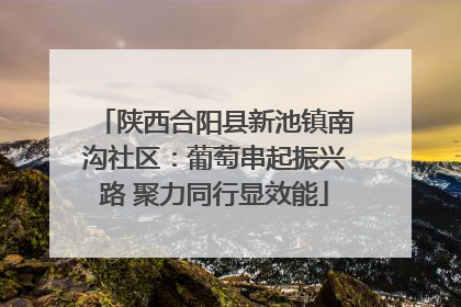 陕西合阳县新池镇南沟社区：葡萄串起振兴路 聚力同行显效能
