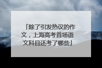 除了引发热议的作文，上海高考首场语文科目还考了哪些
