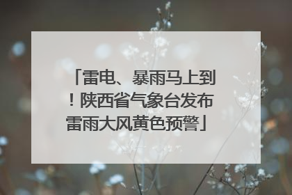 雷电、暴雨马上到！陕西省气象台发布雷雨大风黄色预警