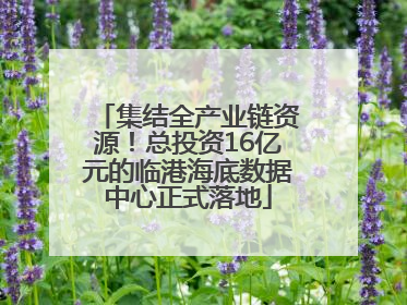 集结全产业链资源！总投资16亿元的临港海底数据中心正式落地