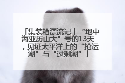 集装箱漂流记丨“地中海亚历山大”号的13天，见证太平洋上的“抢运潮”与“过剩潮”
