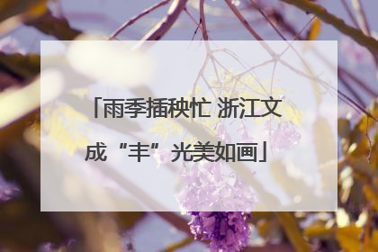 雨季插秧忙 浙江文成“丰”光美如画