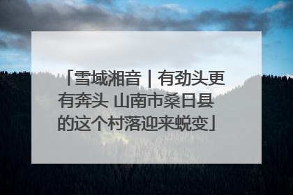雪域湘音｜有劲头更有奔头 山南市桑日县的这个村落迎来蜕变