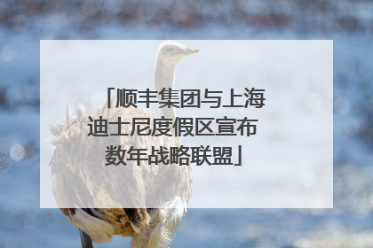 顺丰集团与上海迪士尼度假区宣布数年战略联盟