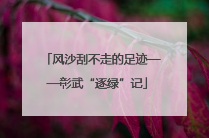 风沙刮不走的足迹——彰武“逐绿”记