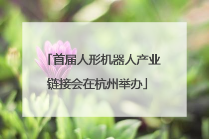 首届人形机器人产业链接会在杭州举办