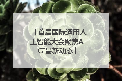 首届国际通用人工智能大会聚焦AGI最新动态