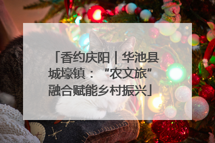 香约庆阳｜华池县城壕镇：“农文旅”融合赋能乡村振兴