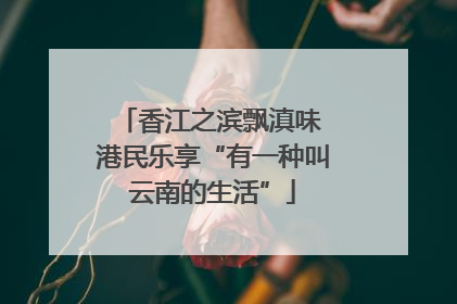 香江之滨飘滇味 港民乐享“有一种叫云南的生活”