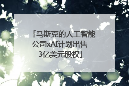 马斯克的人工智能公司xAI计划出售3亿美元股权