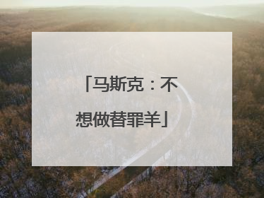 马斯克：不想做替罪羊