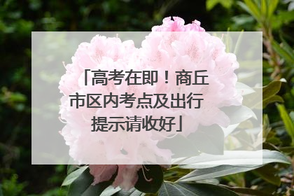 高考在即！商丘市区内考点及出行提示请收好