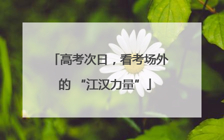 高考次日，看考场外的 “江汉力量”