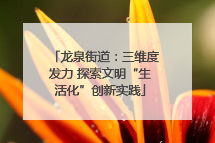 龙泉街道：三维度发力 探索文明“生活化”创新实践