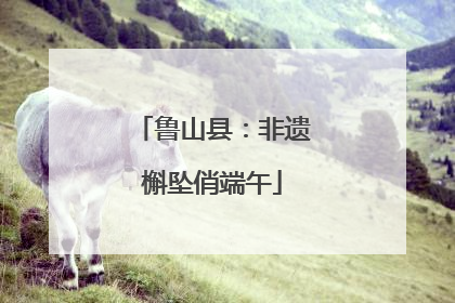 鲁山县：非遗槲坠俏端午