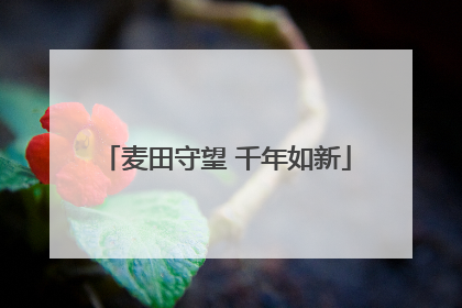 麦田守望 千年如新