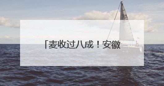 麦收过八成！安徽夏粮有望再迎丰收