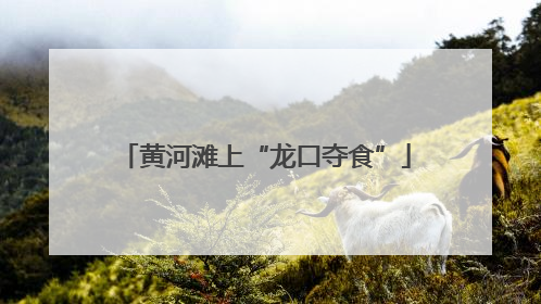 黄河滩上“龙口夺食”