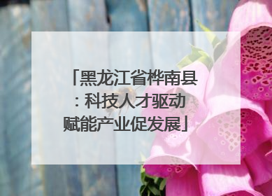 黑龙江省桦南县：科技人才驱动 赋能产业促发展