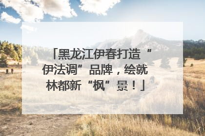 黑龙江伊春打造“伊法调”品牌，绘就林都新“枫”景！