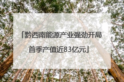 黔西南能源产业强劲开局 首季产值近83亿元