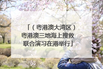 （粤港澳大湾区）粤港澳三地海上搜救联合演习在港举行
