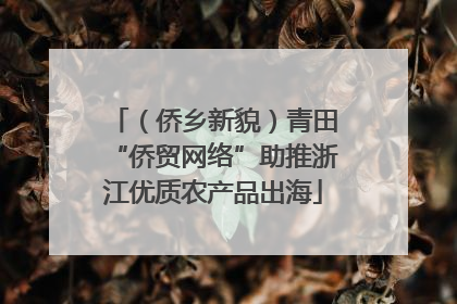 （侨乡新貌）青田“侨贸网络”助推浙江优质农产品出海