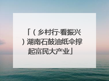 （乡村行·看振兴）湖南石鼓油纸伞撑起富民大产业