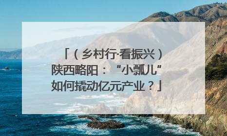 （乡村行·看振兴）陕西略阳：“小瓢儿”如何撬动亿元产业？