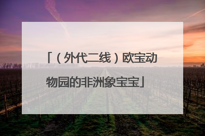 （外代二线）欧宝动物园的非洲象宝宝
