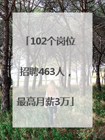102个岗位招聘463人，最高月薪3万
