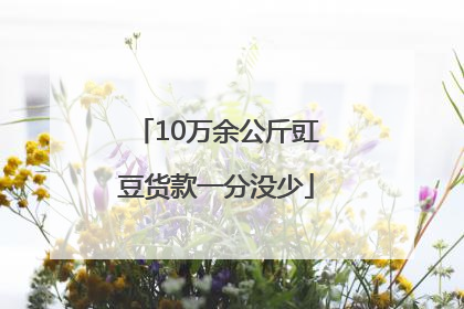 10万余公斤豇豆货款一分没少