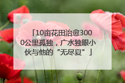 10亩花田治愈3000公里孤独，广水独眼小伙与他的“无尽夏”