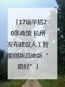 17项举措20条政策 杭州发布建设人工智能创新高地新“路径”