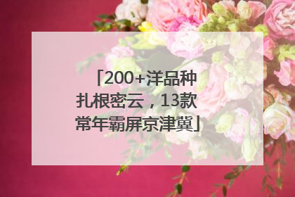 200+洋品种扎根密云，13款常年霸屏京津冀
