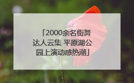 2000余名街舞达人云集 平原湖公园上演动感热潮