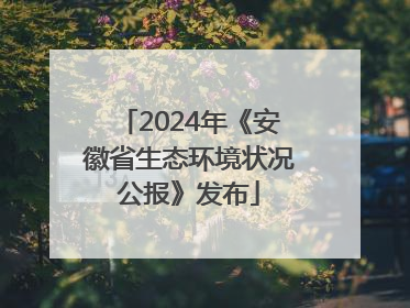 2024年《安徽省生态环境状况公报》发布