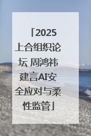 2025上合组织论坛 周鸿祎建言AI安全应对与柔性监管