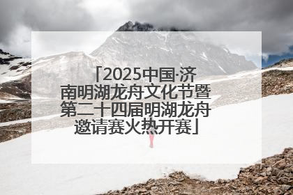 2025中国·济南明湖龙舟文化节暨第二十四届明湖龙舟邀请赛火热开赛