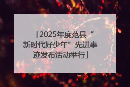 2025年度范县“新时代好少年”先进事迹发布活动举行