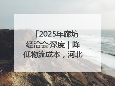 2025年廊坊经洽会·深度｜降低物流成本，河北物流集团找到一把“金钥匙”