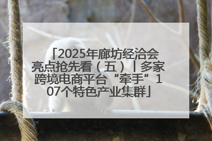 2025年廊坊经洽会亮点抢先看（五）丨多家跨境电商平台“牵手”107个特色产业集群
